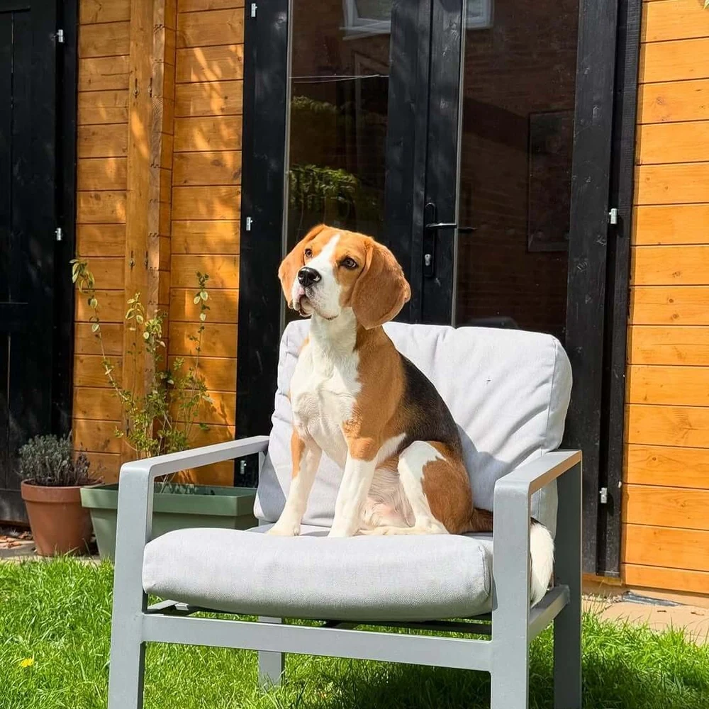 Waiting by the door at exactly six.