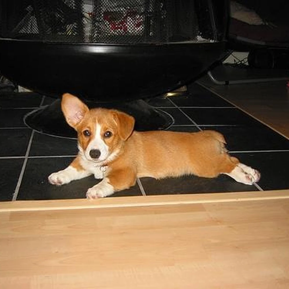 Post-walk collapse, fully earned.