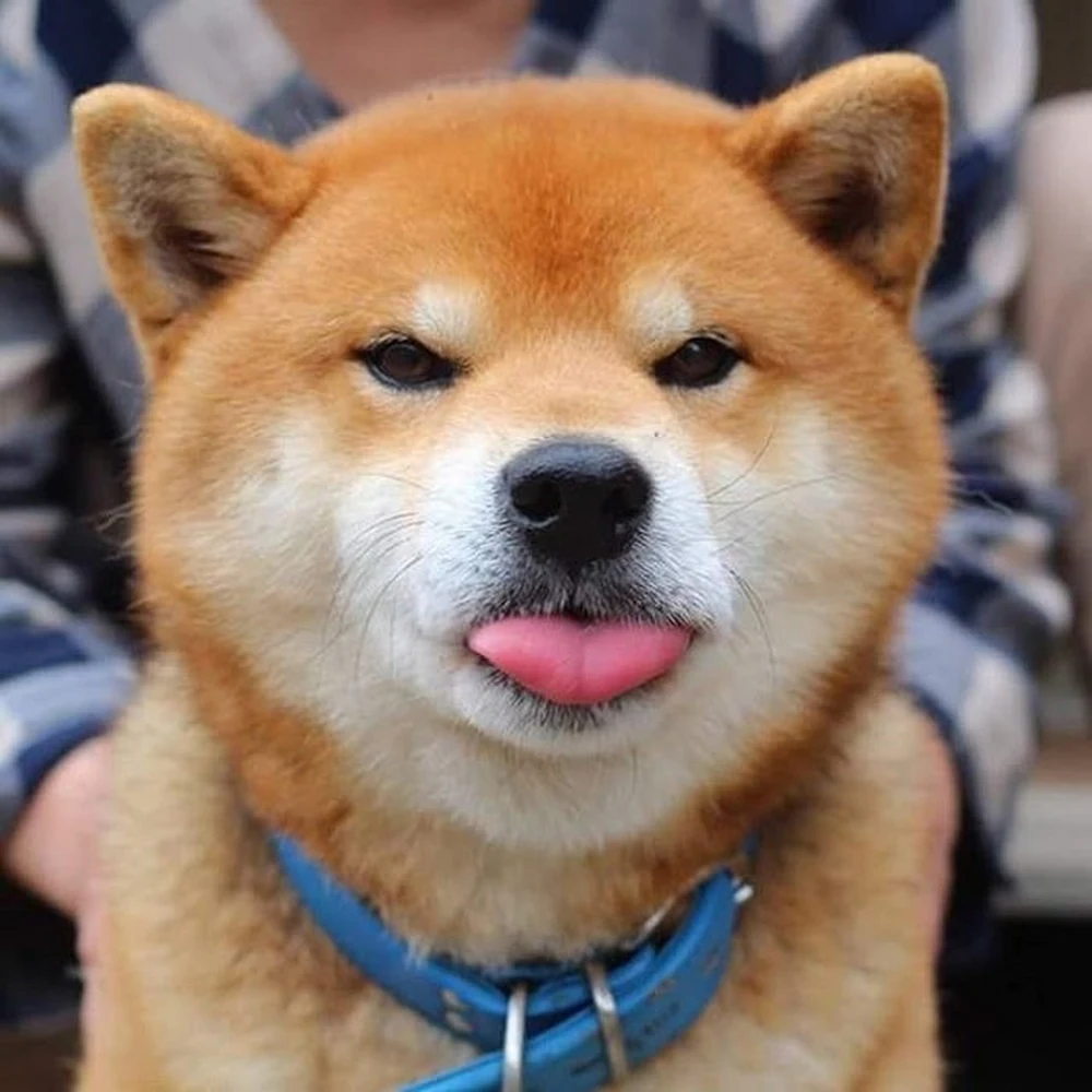 The face that gets the extra treat.